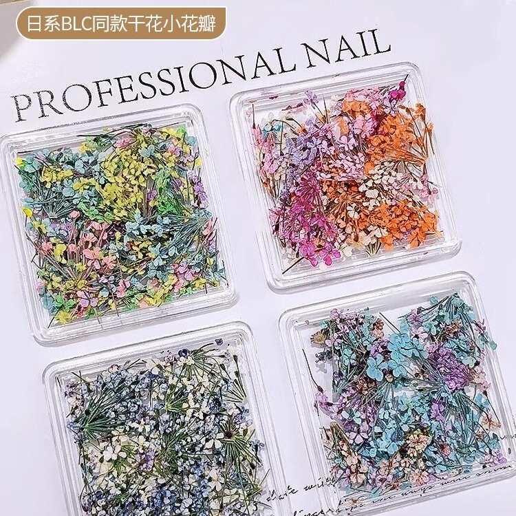Nail Art Dried Flower Nail Jewelry Japanese Ins Style Monet Garden Oil Painting Petal Flower Floral Mixed DIY Material