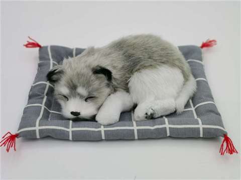 Gran Husky con almohadillas a cuadros grises