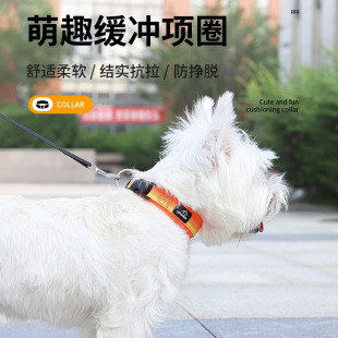狗狗项圈狗圈小型犬脖圈大型犬颈圈耐用透气防勒中型泰迪宠物用品-阿里巴巴