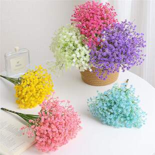 ����M������֦���ϻ��Ҿ��b�c�쾰�廨��ٻ��b羳���R�d