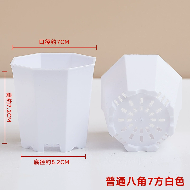 Горячие продажи водопроницаемая осьокорова Escargot Pot Pot Pot Плохой блюдо пластик пластик пластик пластик пласт пластинки Вставка Рули Пот Низкий