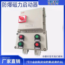 防爆断路器开关电磁启动器 泵用启动开关 防爆电机 防爆轴流风机