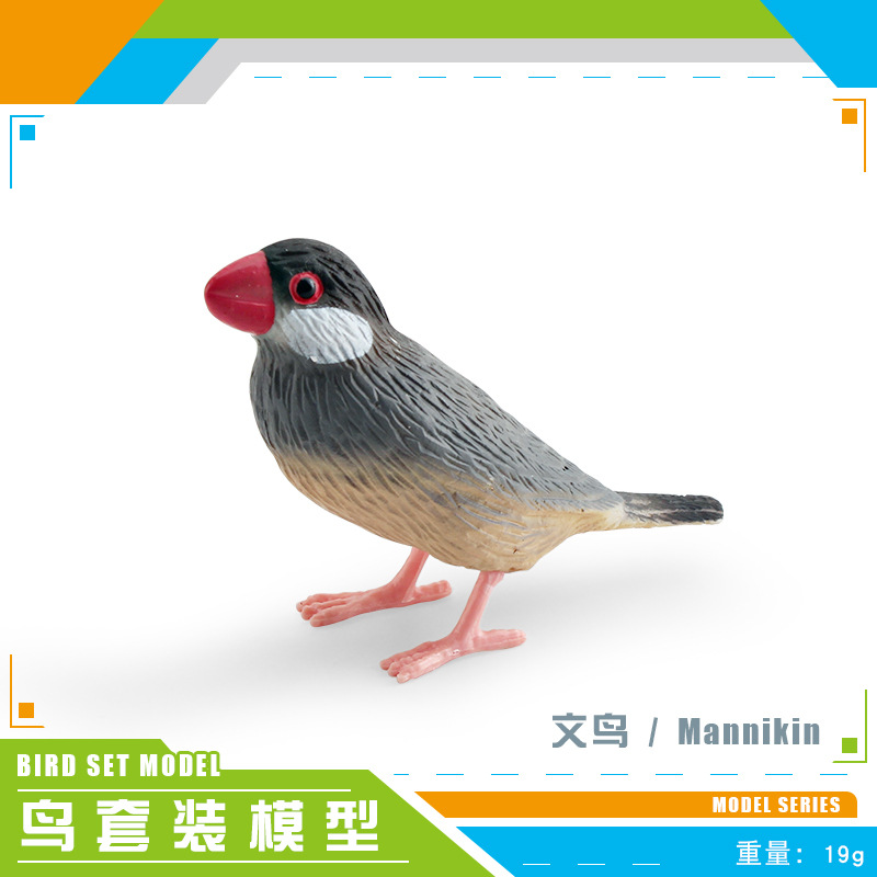 Simulación amazónica de pájaros hummingbirds, colibríes, pájaros, aves, animales, modelos de escritorio, juguetes decorativos estáticos