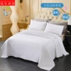Bluebell solid color