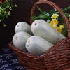 Shandong Claw honey muskmelon Bo Yang 61 Season fresh fruit Cantaloupe 35 Full container On behalf of