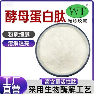 Yeast Protein Peptide 98% Small Molecule Active Protein Peptide Food-Grade Health Ingredient Water-Soluble Powder in Stock Package