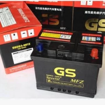Bora Sagitar Magotan Tiguan – Car battery/battery