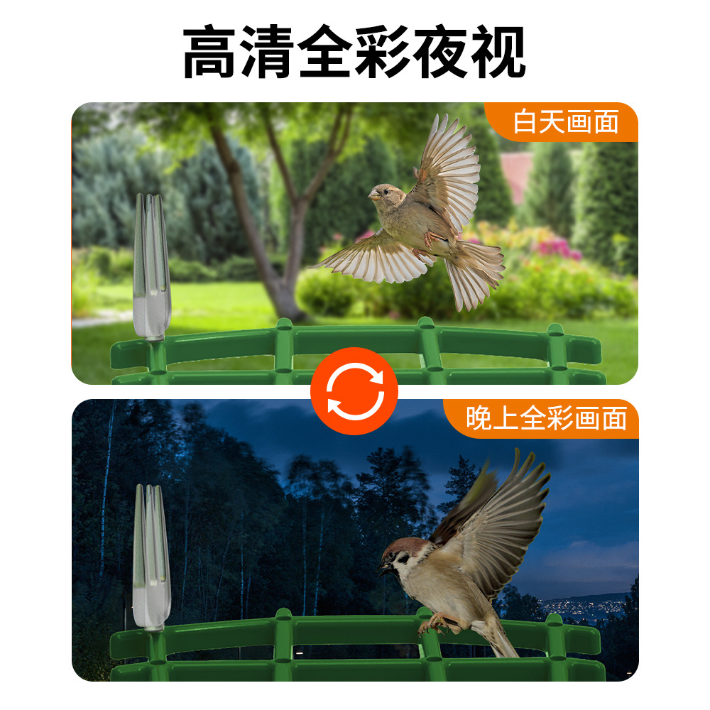 Amazon explosión inteligente alimentador de aves cámara inteligente AI reconocimiento de aves alimentador solar al aire libre todo en uno