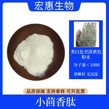 小茴香肽 小分子肽 小茴香提取物 现货 吨位供应 免运费
