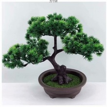 �������ɘ�ӭ��������[���ٻ��٘������辰���P�[�O�b�Ʒ���R�d