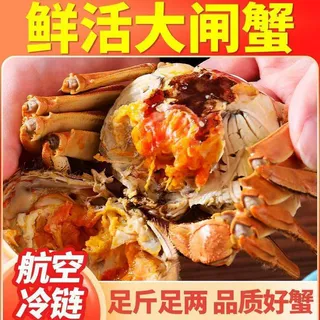 江苏大闸蟹现捕现发鲜活螃蟹全母公蟹礼盒装代发顺丰包邮批发