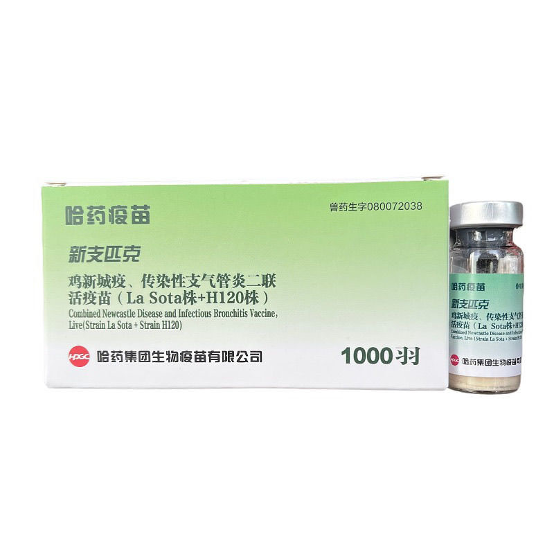 微信图片_20250418135405 - 副本