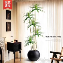 ����Gֲǧ��ľ��ֲ���p�ݿ͏d�b��҃ȴ���������Ѫ����ؔ[��