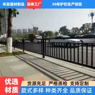 广州人行道安全文化隔离防护木棉花护栏交通防撞楼梯扶手公路马路