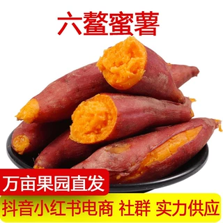 福建漳浦六鳌蜜薯桥头地瓜金时地瓜番薯沙地红薯新鲜现挖西瓜红