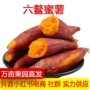 漳浦福建新鲜西瓜红番薯