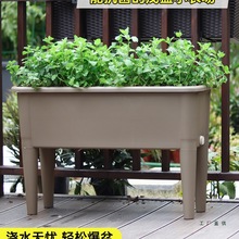 �̨�Nֲ��2025�¿�Nֲ����_�L���λ����픻���N�������߲˲�