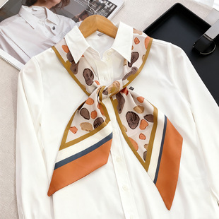 �z��Ů�r�д��﷨ʽ�����b�L�l�͹Žz��С�I���p����ĸ���l���l��