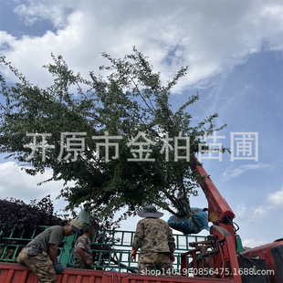 ��l�ʅ�������ͺ��p�~�������Ǘ����Ԙ䘶���͘���|����l��