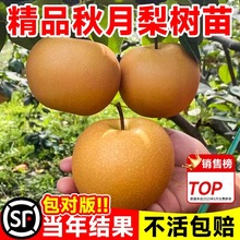 ��������������޽ӻʹژ��������ͥԺ���Ԯ���Y���ϱ����Nֲ