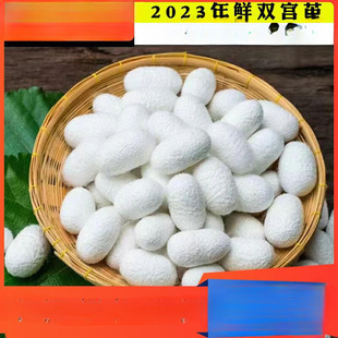 �V���p�m�O��z�ֹ�ɣ�Q�z�޶�ԭ��������_�O�_�O���Q�O