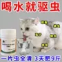 猫狗猫犬内外体内蛔虫