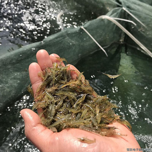 �^�p�r���l�ښ��r�׳����r��ˮ���坍�rˮ�����쾰�~�׹����r