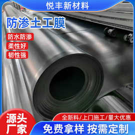 鱼塘专用防渗膜厂家加厚蓄水池池塘护坡防漏水土工膜hdpe防渗膜