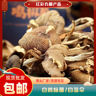 ����خa���u�����l ʳ�þ������ ��¶�� ���Z�����a��