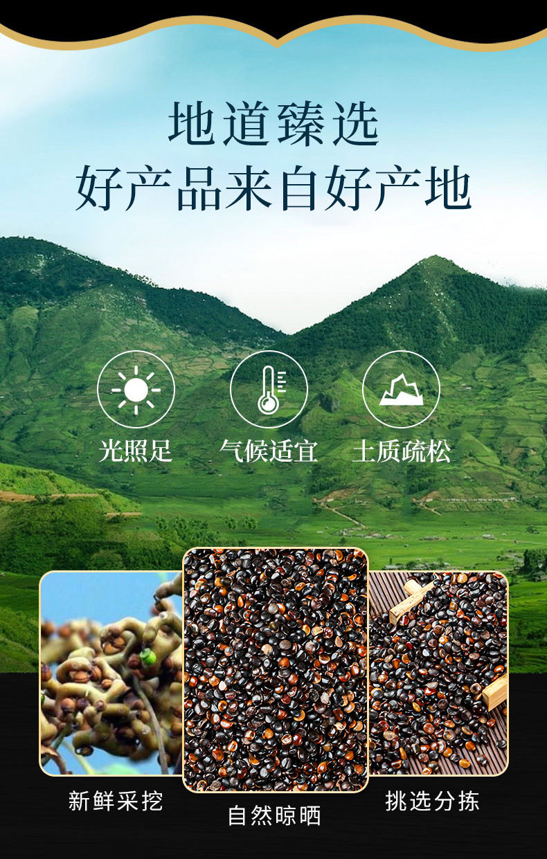 Zhi Ju Zi (Hovenia dulcis) — Dried Raisin Tree Seed for Tea & Soup, 500g overview