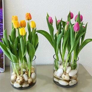 ˮ��������ˮ�B�N�򻨻����ԾGֲ�҃�ֲ���ײ���ˮ�ɻ������L����