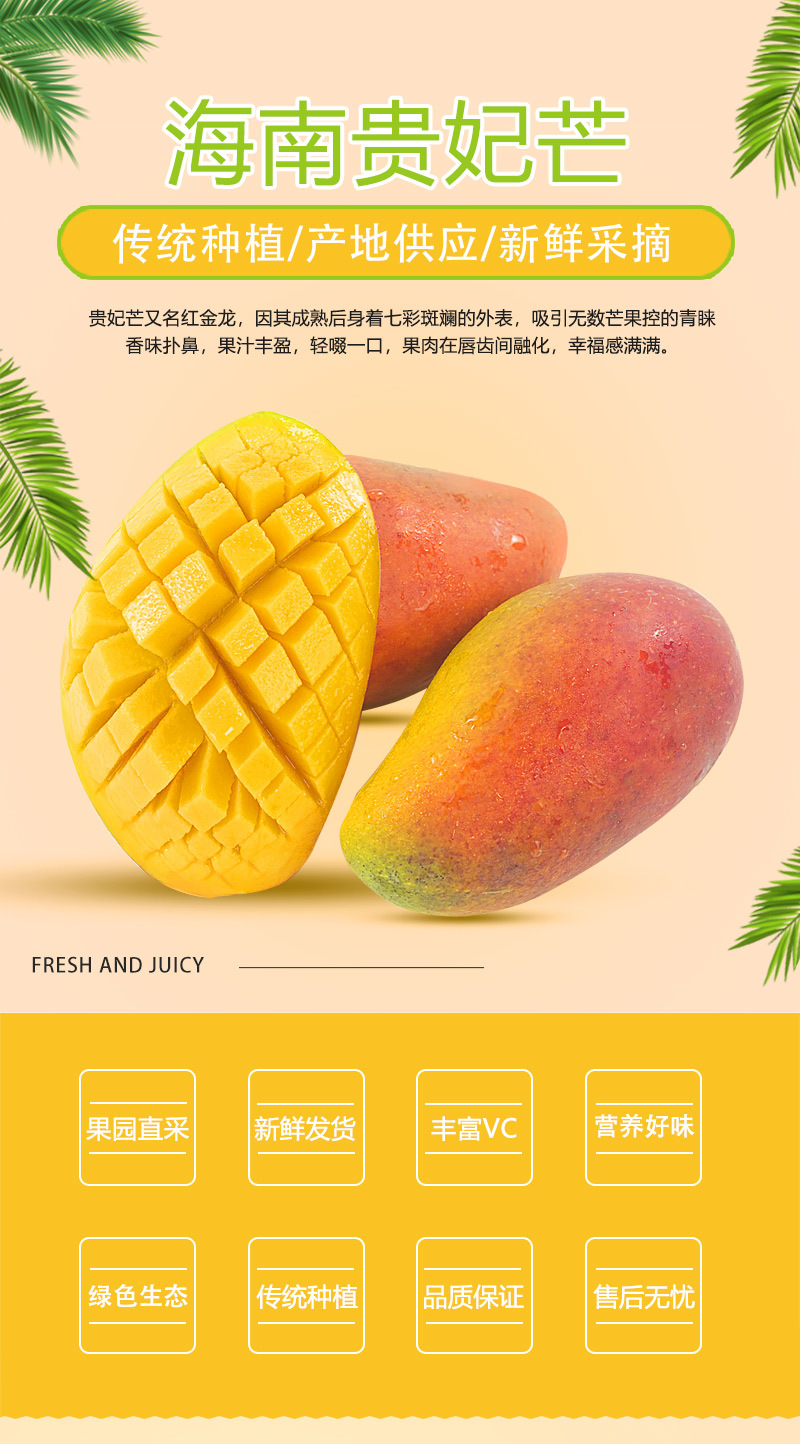 海南貴妃芒_01