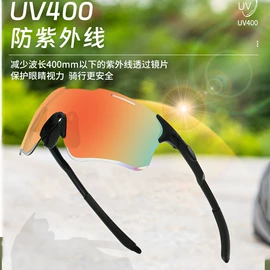 太阳镜;框架眼镜;老花镜