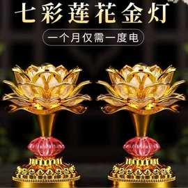 太阳能灯;电子灭蚊器;供灯