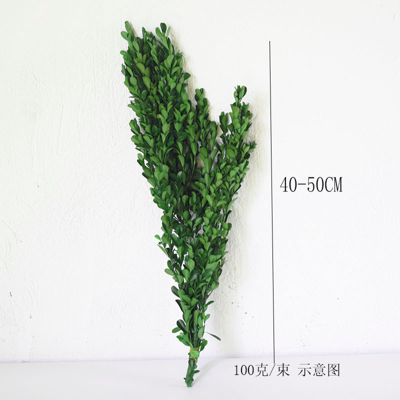 Boj hoja verde 100g