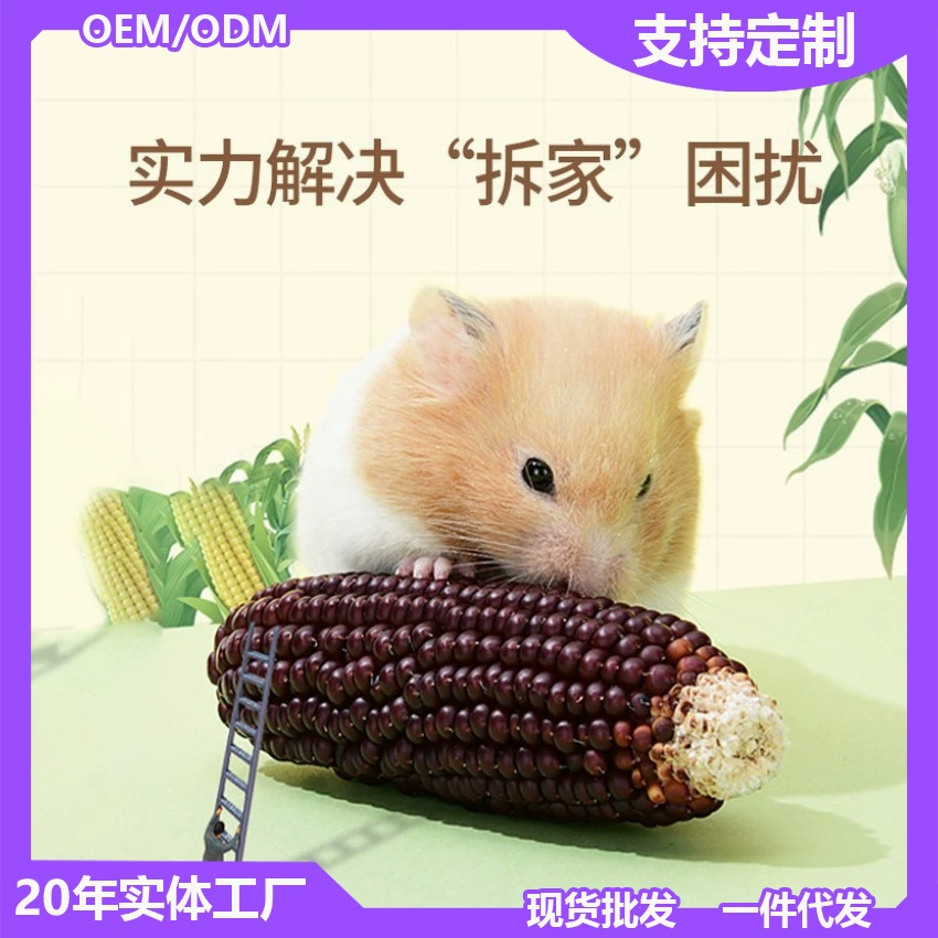 Маленькая кукуруза хомяк зерна колосья золотого медведя шиншиллу морская свинка закуски