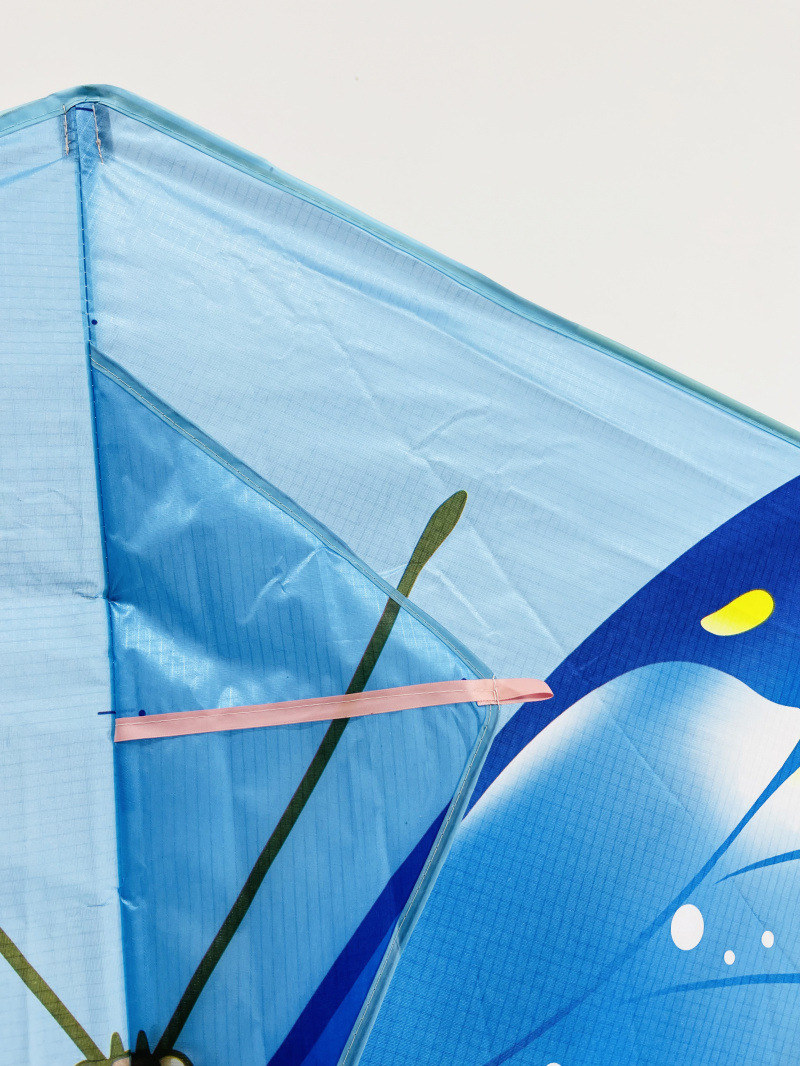 TD蝴蝶 宽145高98尾巴160厘米 (3).jpg