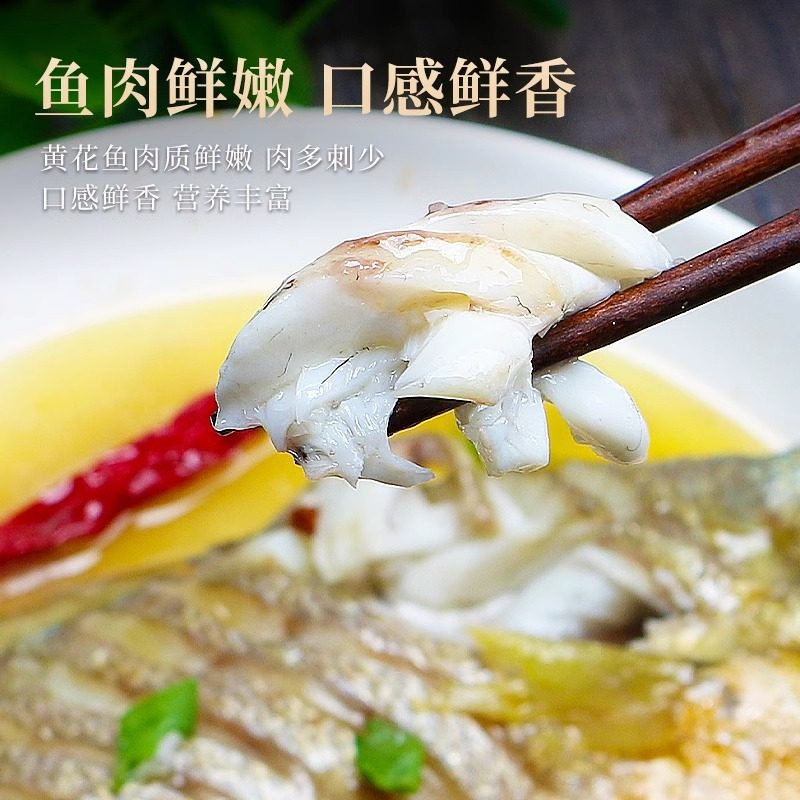 新货大黄花鱼新鲜冷冻生鲜水产海捕黄鱼海鱼宁德小黄鱼黄鱼鲞商用