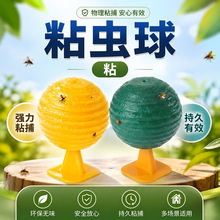 �Tωճω��ճ�x���ω�T������ω���x�Tճ��׽�҃����x���x����