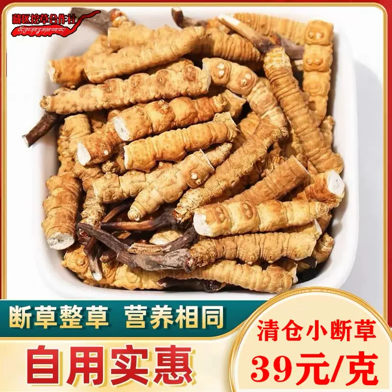 断虫草干草断的野生虫草滋补养生送礼泡酒非西藏那曲青海冬虫夏草