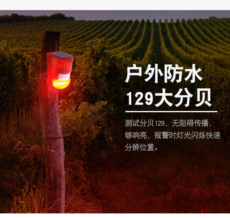 详情-12.jpg