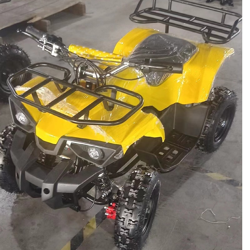 Little Warrior Atv, Electric Start 49Cc All-Terrain Four-Wheel Atv for Children's Park Entertainment and Rental Use