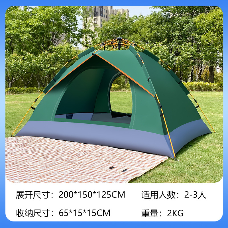 진한 녹색 2-3인