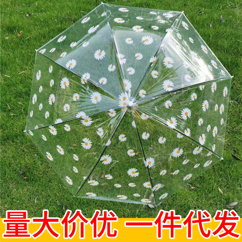 夏季半透明雨伞小雏菊创意清晰弯钩直杆伞学生自动8股长柄伞批发
