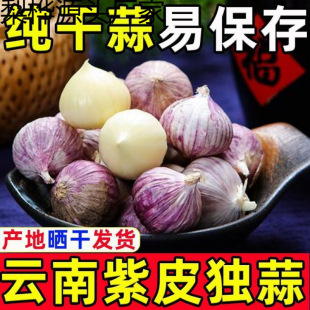 2025������r�Օ��^�����ױ�����Ƥ���^��