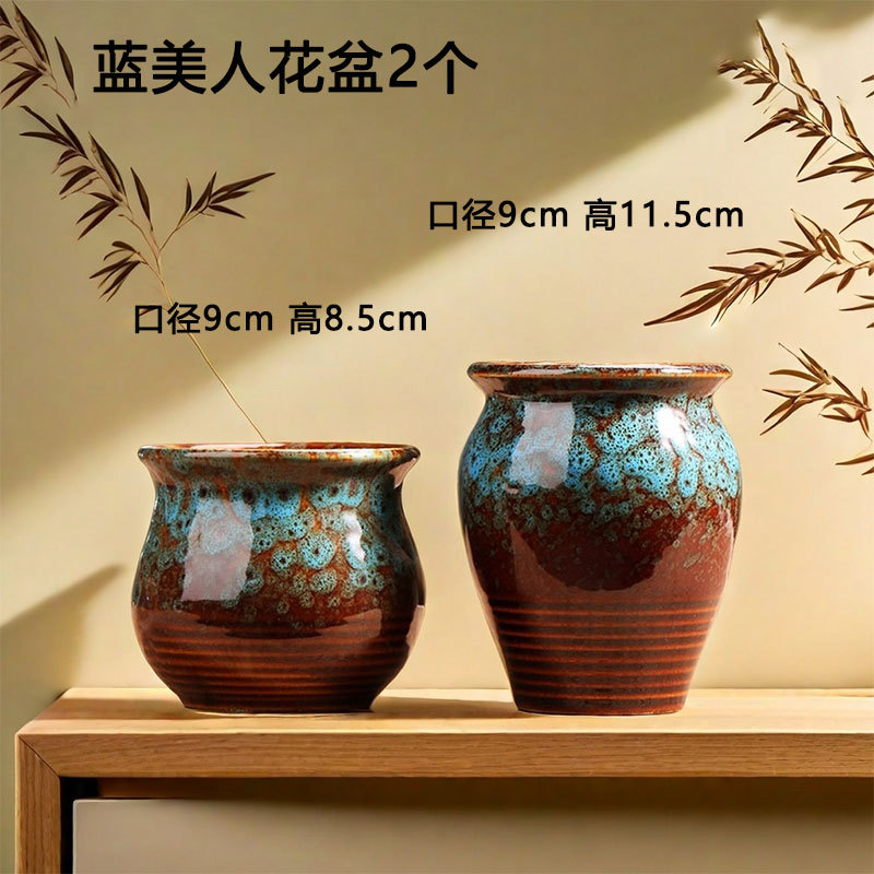 Blue Beauty suculentas maceta venta directa de fábrica de plantas de carne doméstica cerámica cerámica especial arcilla pequeña liquidación al por mayor