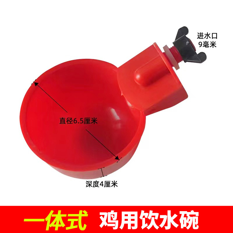 Las aves de corral tazón pollo pato paloma codorniz pájaro dispensador automático de agua potable tazón de exportación equipo potable