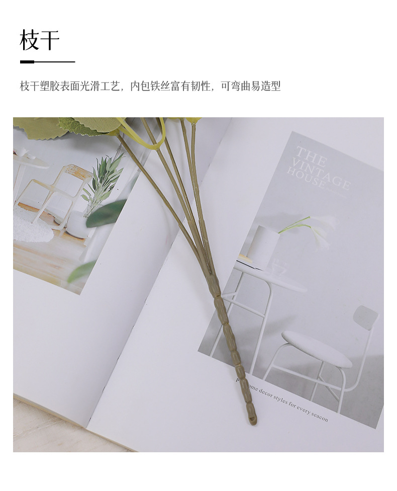 小把束星星菊_12.jpg