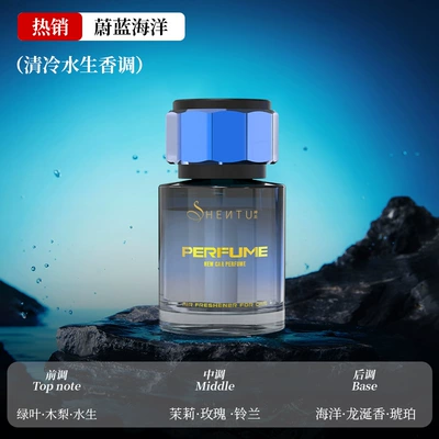 Large Capacity High-End Car Interior – Car Perfume Aromatherapy - blue-ocean-shentu-holiday