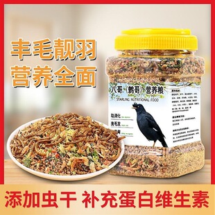 �˸猣�üZʳ����I�B�����_�ڼZ��ü�W�^��ϻ�Ϻ�����x��